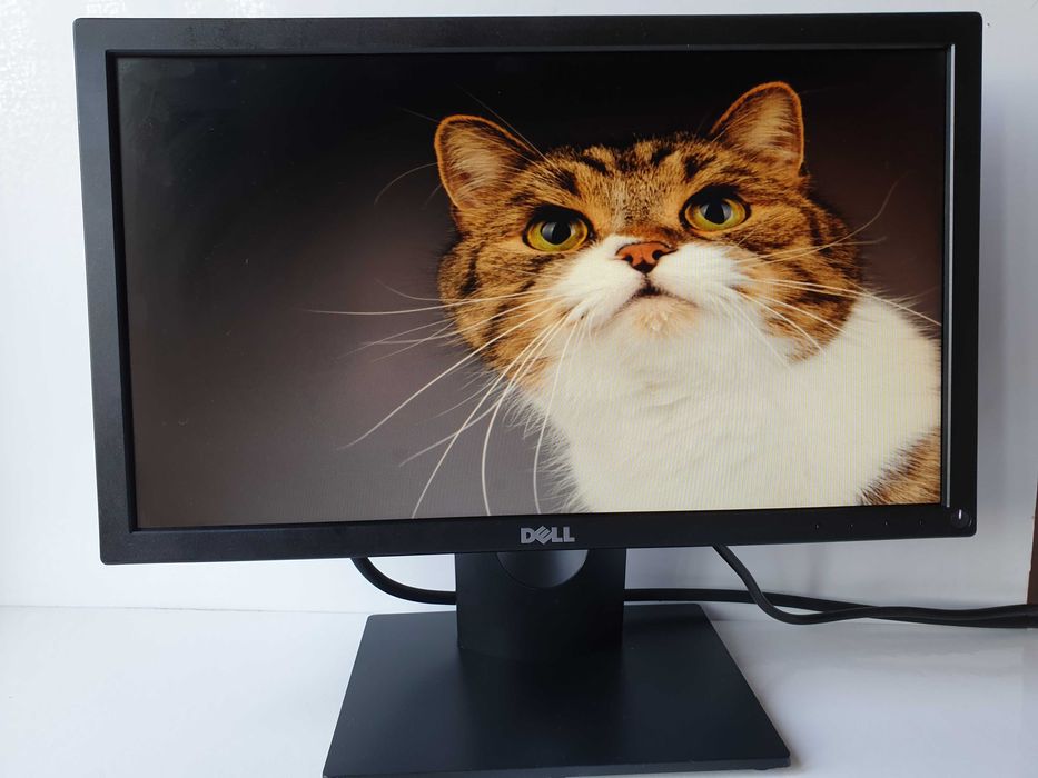 монітор 19" Dell E1916He VGA  DisplayPort c13 EE7