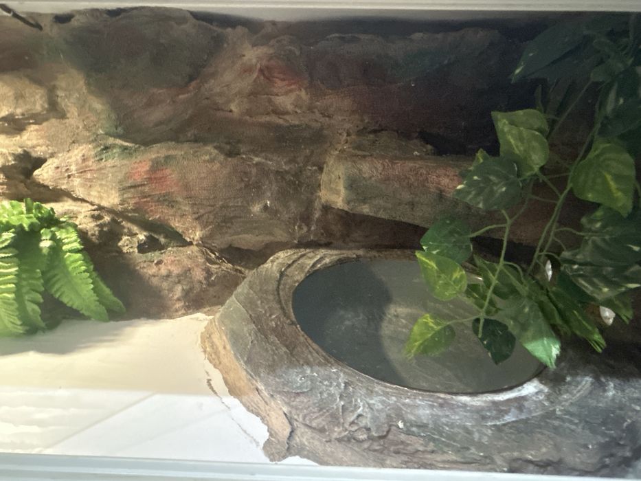 Terrarium 120 x 40 x 40