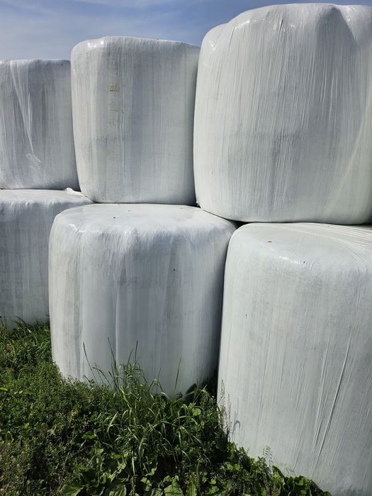 Sianokiszonka w balach 125x125