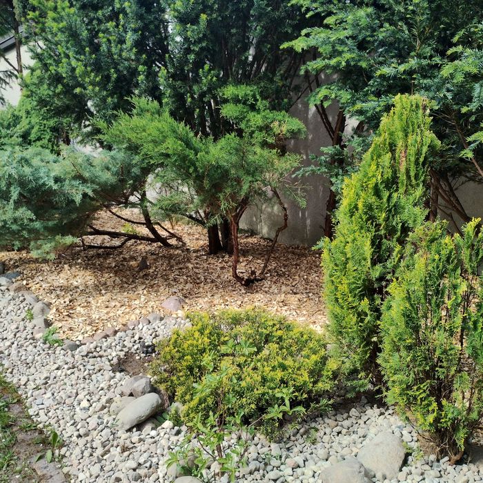 Czyszczenie działek pielęgnacja ogrodów