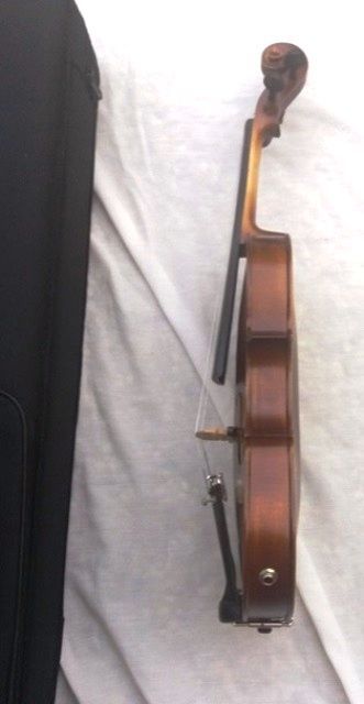 Violino elétrico novo (modelo clássico)