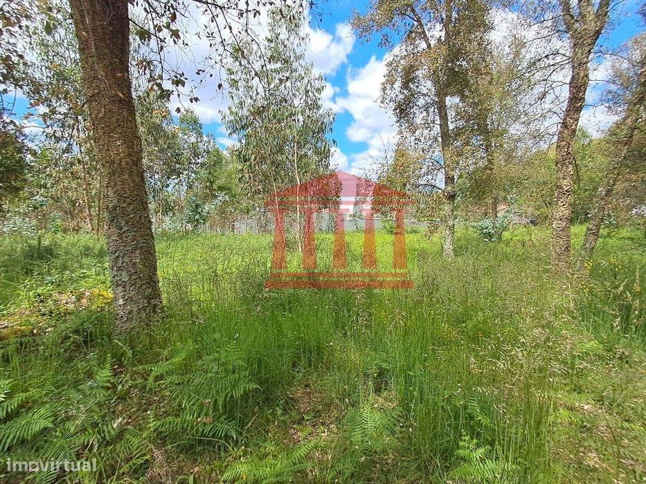 Terreno Para Construção - Barcelos