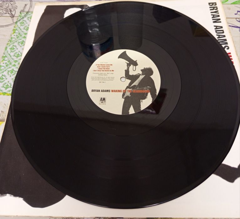 Discos de vinil Bryan Adams