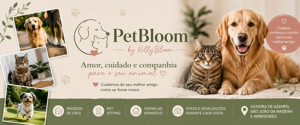 Pet Sitting & Passeio de Cães | Oliveira de Azeméis, S. João da Madeira