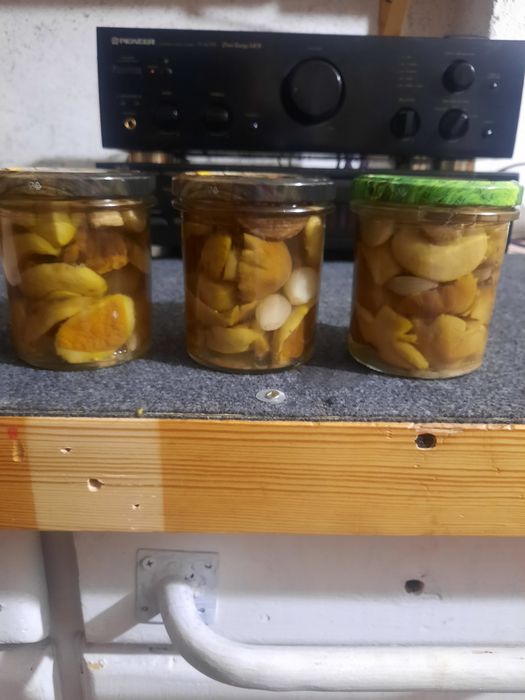 Grzyby marynowane mieszane 0,5l 4 sztuki.