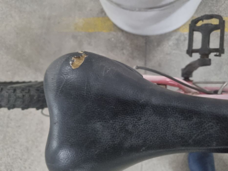 Bicicleta Berg Blast 243