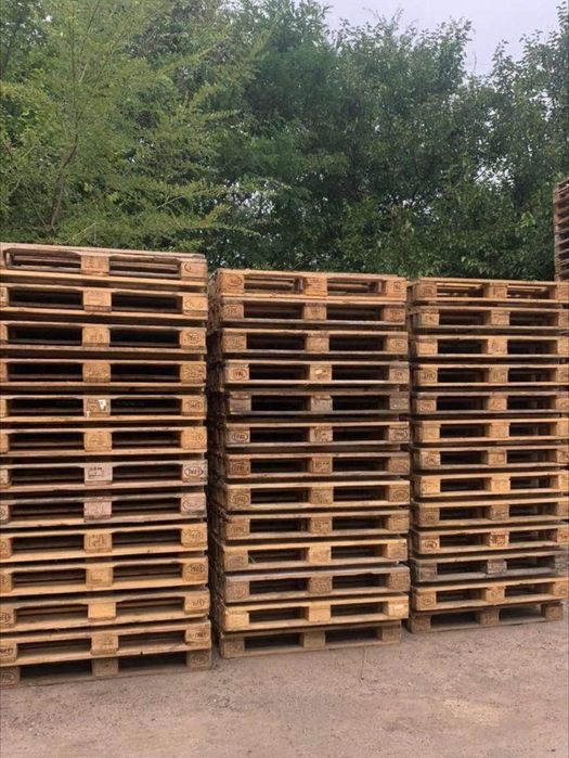 Піддони (палети) дерев`яні, цілі