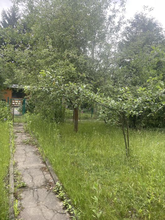 ROD Siekierki 300 m² | Prąd, woda | Owocujące drzewa | 27 000 zł - Widok 3