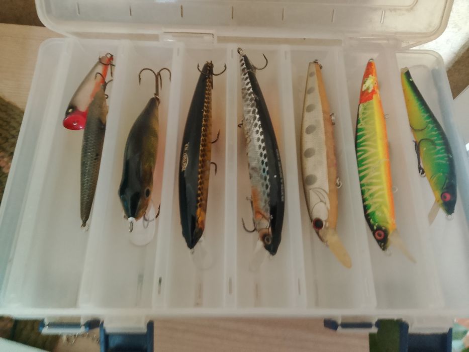 Окунь-щука воблера