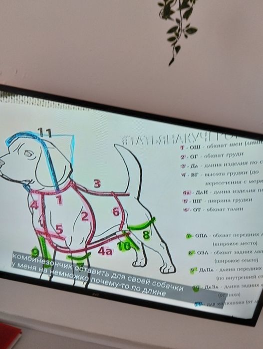Одежда для собак больших и маленьких