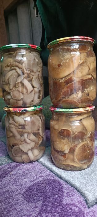 Мариновані грибочки