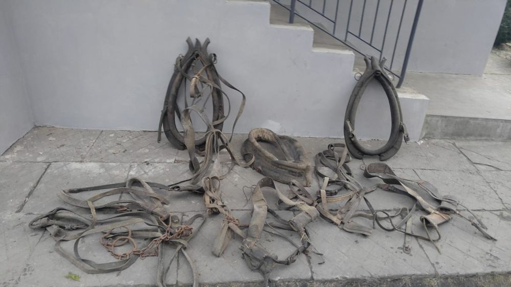 Uprzęże konne 2 pary