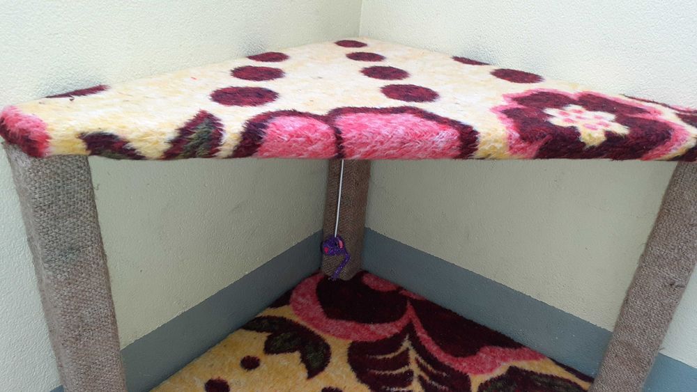 Arranhador de gato NOVO artesanal