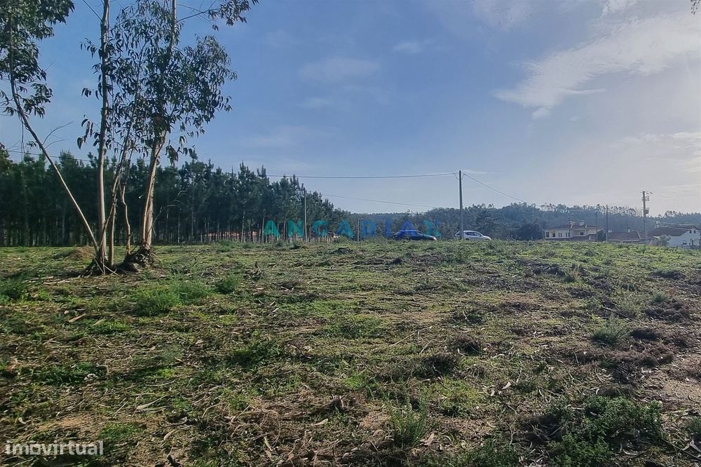 ANG1017 - Terreno de 4174m2 à Venda em Maceira, Leiria