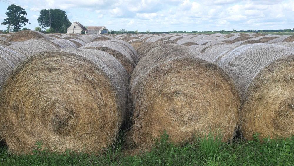 Sprzedam Siano Dla Bydła,Koni