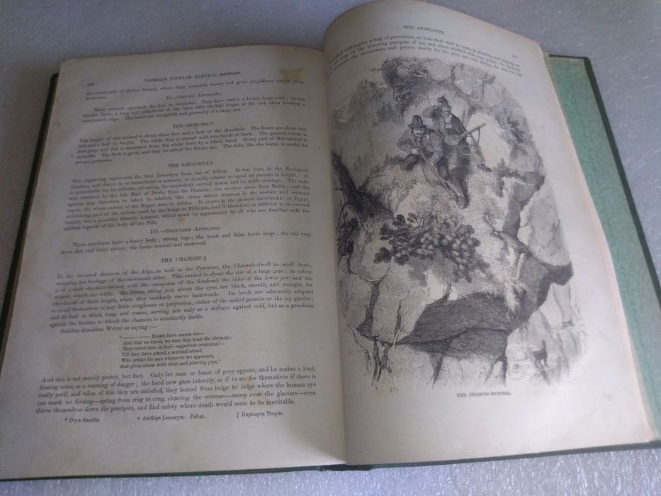 Raro e Antigo Livro cassell's popular natural history vol.2