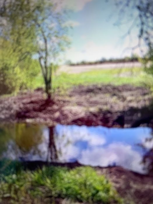 Sprzedam dzialkę na Mazurach - Widok 3