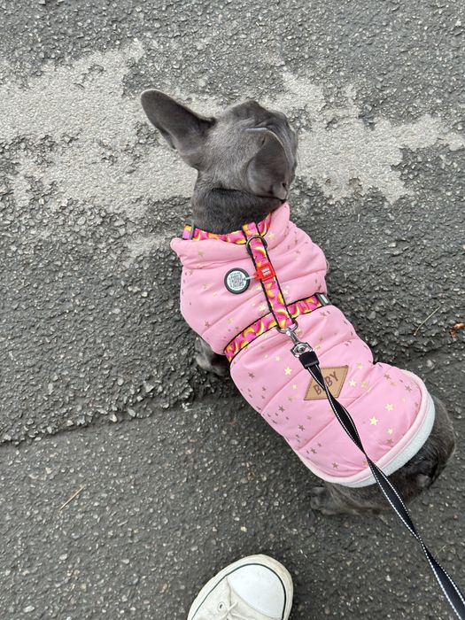 Одяг для собак, утеплена жилетка для собак