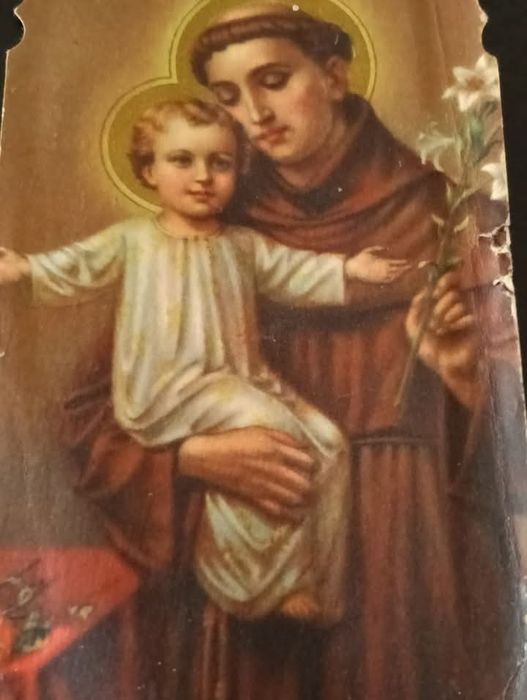 Bela pagela ou outros antiga