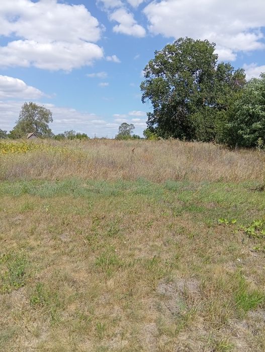 Земельна ділянка