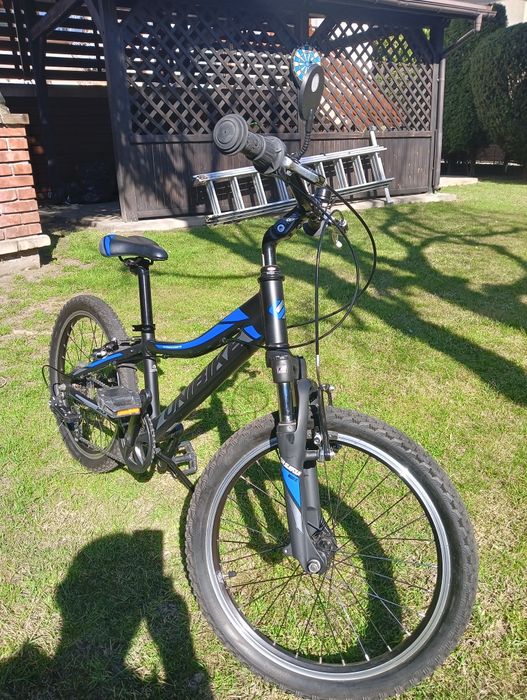 Rower UNIBIKE 20 stan