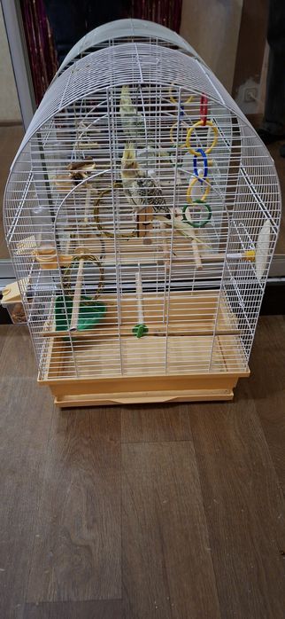 Клетка для попугая