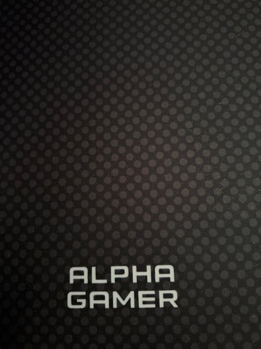 Alpha Gamer / secretária Gamer Kira