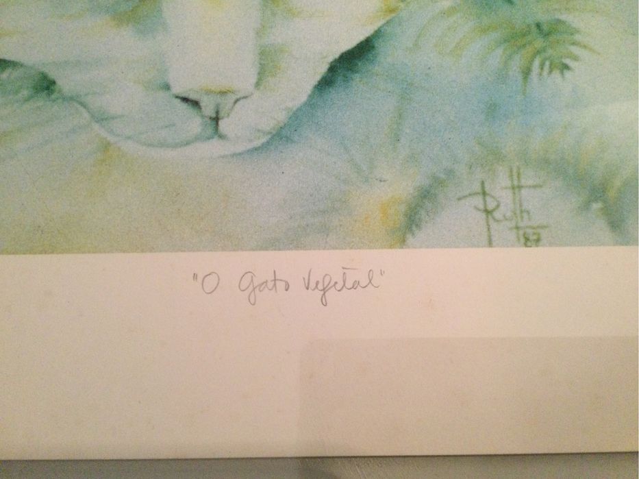 Serigrafia “O gato vegetal”