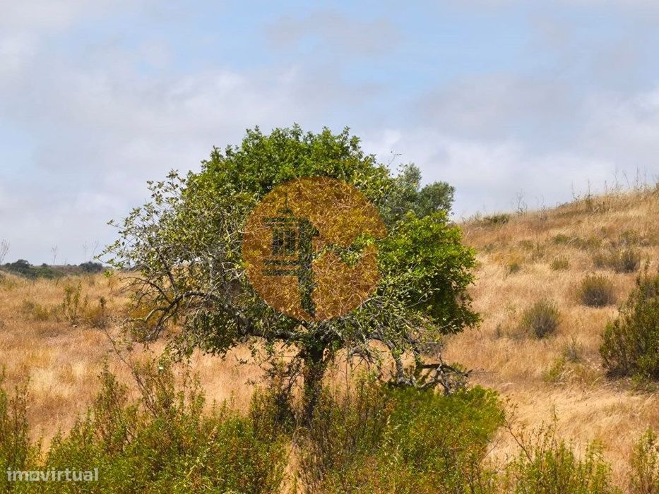 Terreno Com 41.760 M2 - Com Possibilidade De Construir Apoio Agrico...