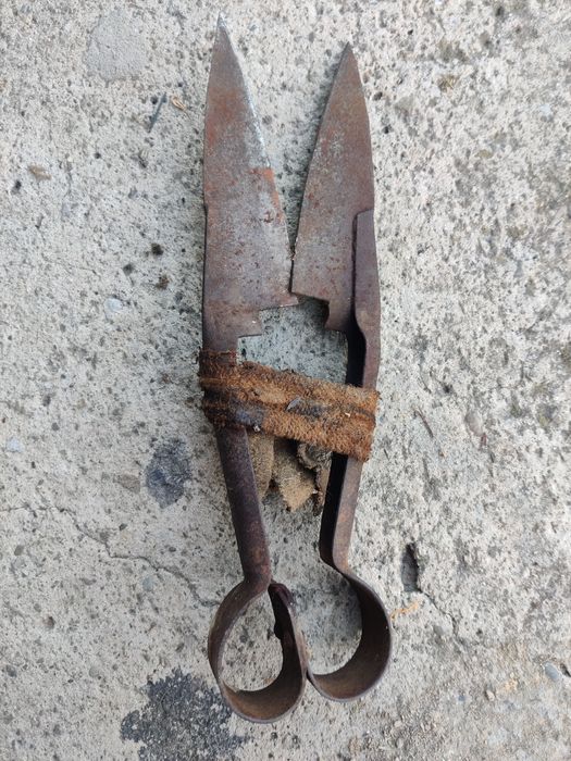 Zabytkowe nożyce do strzyżenia owiec, PRL