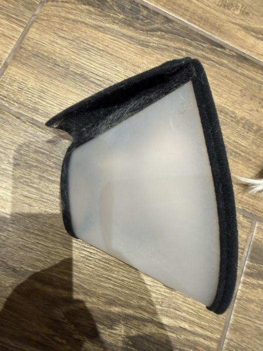 Ветеринарний комір S для кота або маленького песика