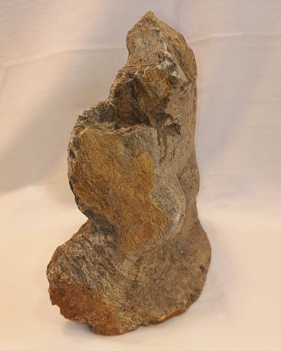Escultura Dorso Xisto