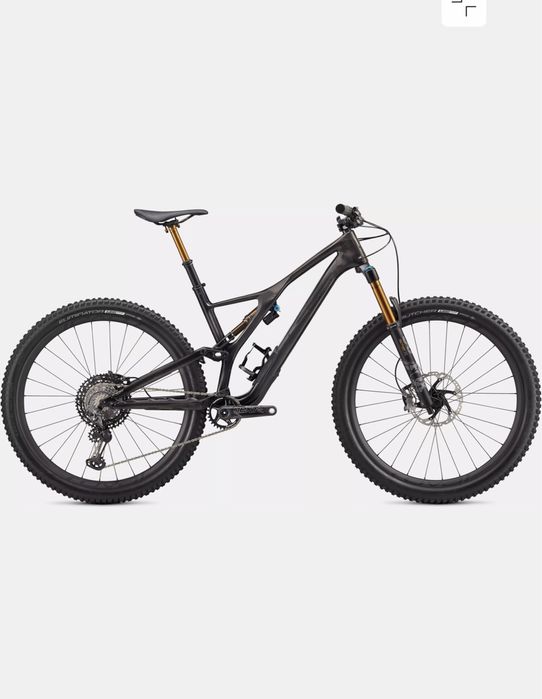 2020 S-Works Stumpjumper 29