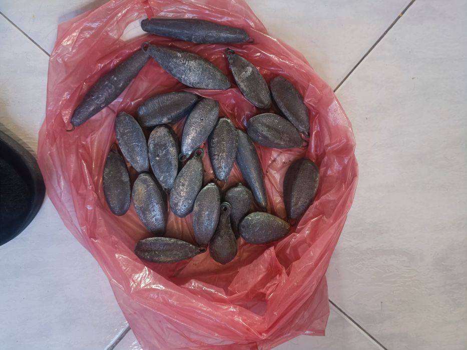 Chumbadas pesca Lisboa