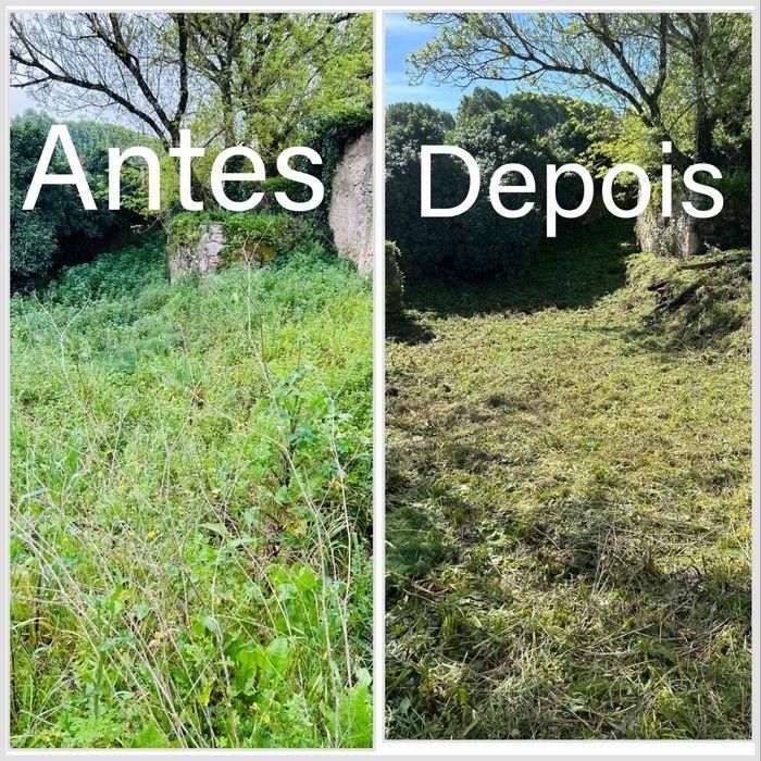 Limpeza terreno