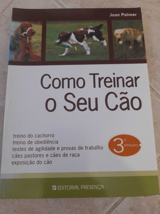 Como treinar o seu Cão