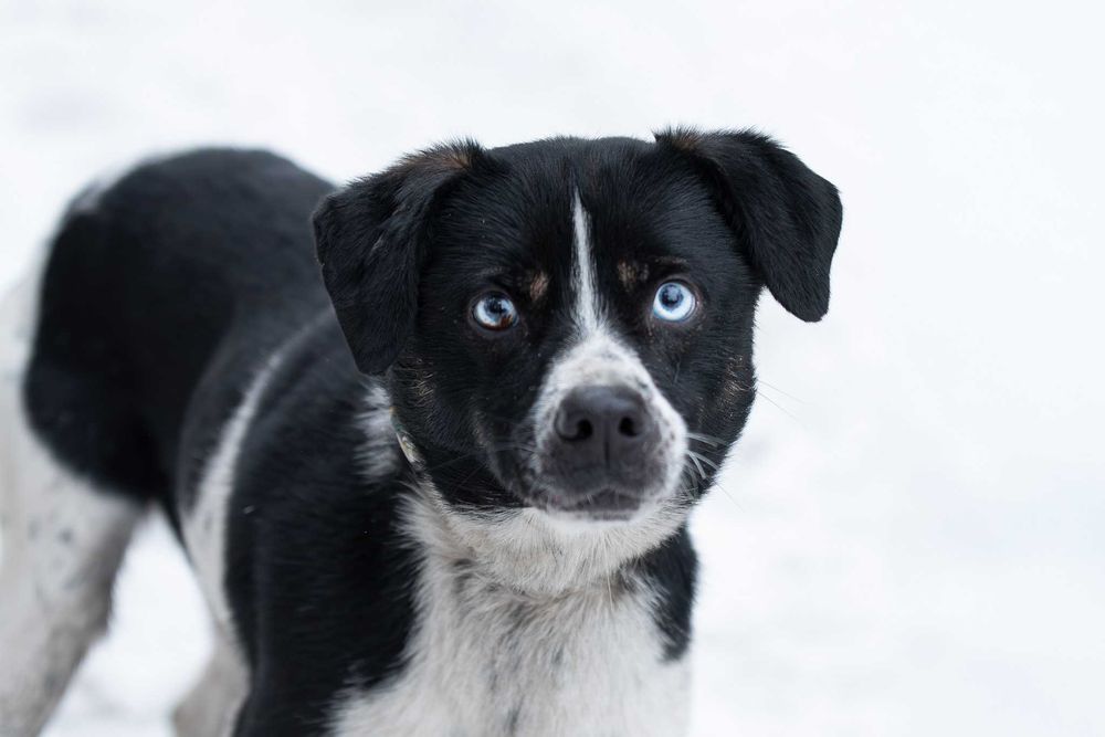 Ksawerio: energiczny, otwarty, entuzjastyczny