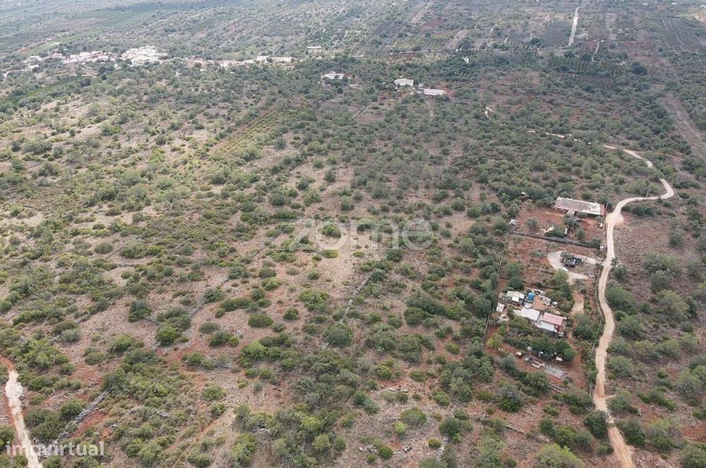 Terreno Rústico em Monte Brito com 18.390m2