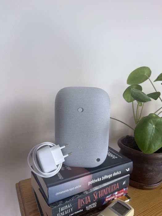 Google Nest Audio GXCA6