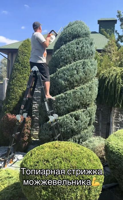 Садовник, уход за участком,стрижка растений