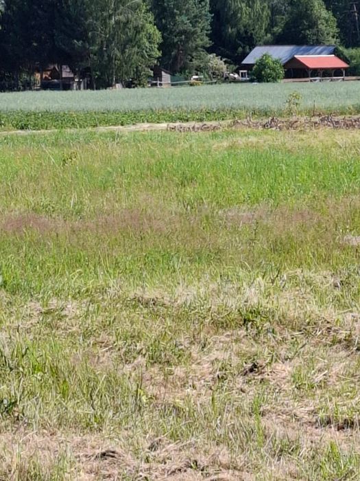 Działki budowlane w Rynkach, tylko 20 km od Białegostoku