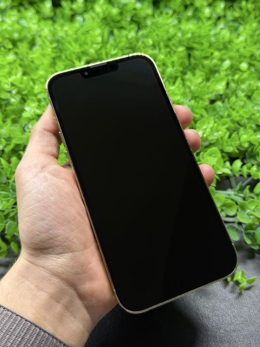 iPhone 13 Pro Max, 256gb, Gold (Neverlock) Айфон 13 Про Макс #1034