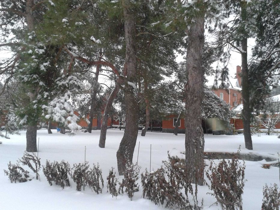 Продам дом в элитном районе