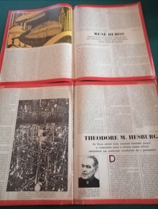 Separatas Revista “Flama”