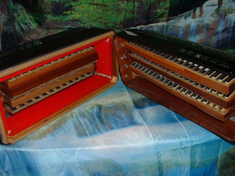 Acordeão Avenda G, .240