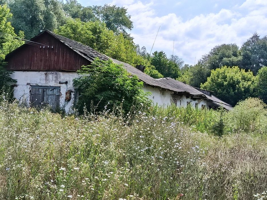 Нежитлові будівлі - с. Припруття, Чернівецька обл.