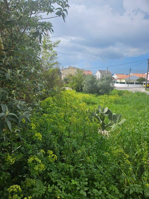 Terreno urbano construcao