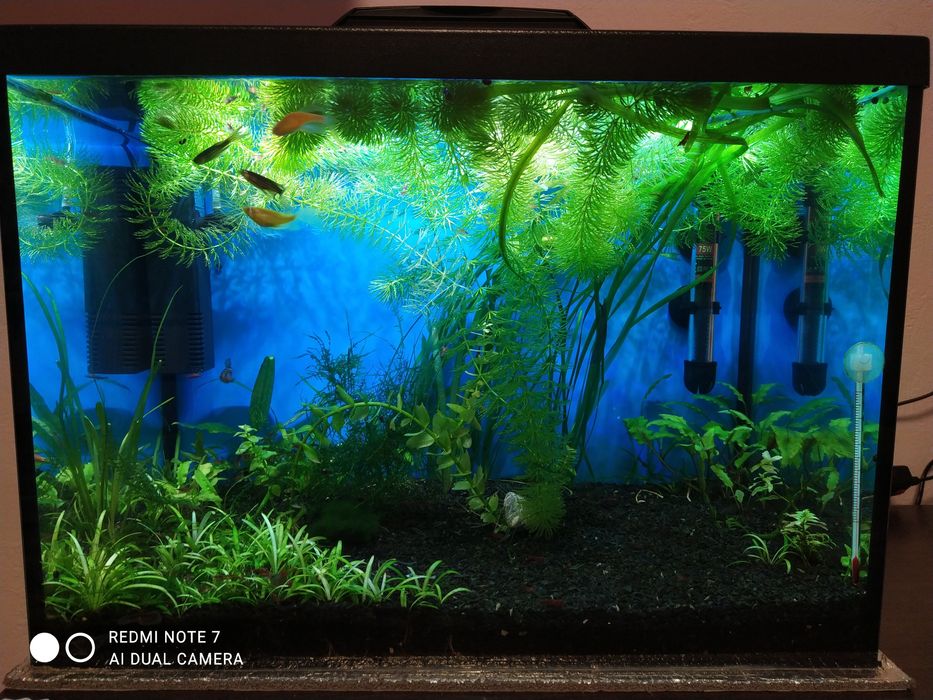 Акваріум  Природа 54 л.