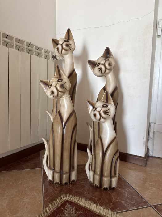 Conjunto de louca 3 gatos