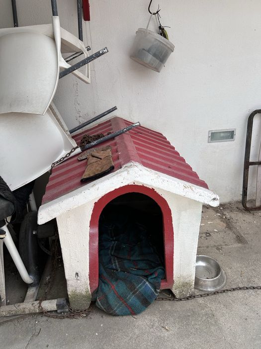 Casota de cão (vende-se limpa e pintada de novo)